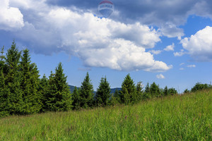 Działka na sprzedaż 2700m2 suski Stryszawa Lachowice - zdjęcie 3