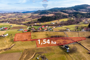 Działka na sprzedaż 15355m2 limanowski Limanowa Męcina - zdjęcie 1