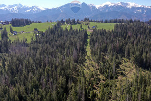 Działka na sprzedaż 2331m2 tatrzański Zakopane - zdjęcie 3