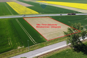 Działka na sprzedaż 4372m2 brzeski Skarbimierz Bierzów - zdjęcie 3