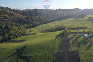 Działka na sprzedaż 22389m2 nowotarski Łapsze Niżne Falsztyn - zdjęcie 2