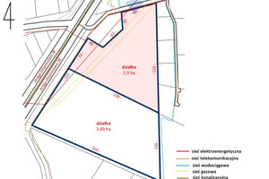 Działka na sprzedaż 29000m2 skierniewicki Kowiesy Zawady - zdjęcie 2