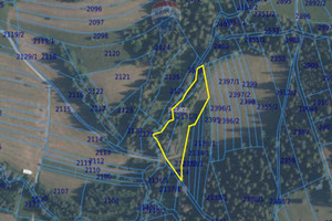 Działka na sprzedaż 3052m2 tatrzański Bukowina Tatrzańska Rzepiska - zdjęcie 4