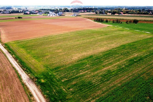 Działka na sprzedaż 21000m2 wrocławski Długołęka Bierzyce - zdjęcie 2