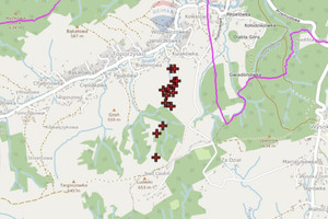 Działka na sprzedaż 17006m2 suski Jordanów Toporzysko - zdjęcie 3