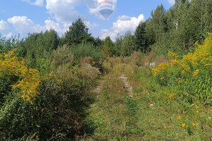 Działka na sprzedaż 9678m2 radomski Skaryszew Zielona - zdjęcie 2