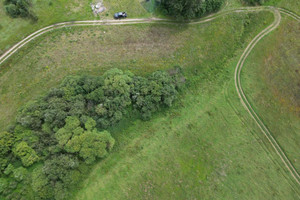 Działka na sprzedaż 20000m2 gdański Trąbki Wielkie Ełganowo - zdjęcie 1