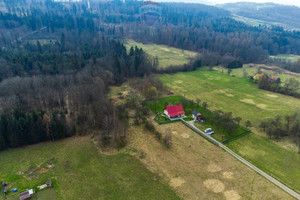 Działka na sprzedaż 5200m2 wielicki Niepołomice Zakrzów - zdjęcie 2