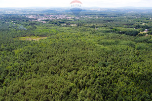 Działka na sprzedaż 1399m2 ostrowiecki Ostrowiec Świętokrzyski Las Rzeczki - zdjęcie 3