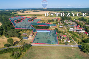 Działka na sprzedaż 99100m2 zielonogórski Trzebiechów Ostrzyce - zdjęcie 1