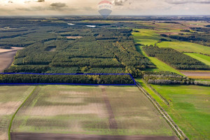 Działka na sprzedaż 38320m2 krotoszyński Zduny - zdjęcie 2