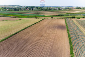 Działka na sprzedaż 5330m2 krakowski Igołomia-Wawrzeńczyce Stręgoborzyce - zdjęcie 3