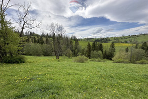 Działka na sprzedaż 4072m2 tatrzański Biały Dunajec Gliczarów Dolny - zdjęcie 1