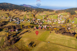 Działka na sprzedaż 5133m2 limanowski Mszana Dolna Kasina Wielka - zdjęcie 3