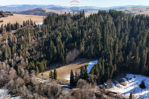 Działka na sprzedaż 3523m2 nowotarski Łapsze Niżne - zdjęcie 3