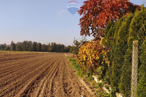 Działka na sprzedaż skierniewicki Głuchów Jasień - zdjęcie 2