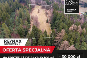 Działka na sprzedaż 10300m2 kłodzki Polanica-Zdrój Wiejska - zdjęcie 1