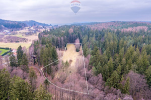 Działka na sprzedaż 10300m2 kłodzki Polanica-Zdrój Wiejska - zdjęcie 1