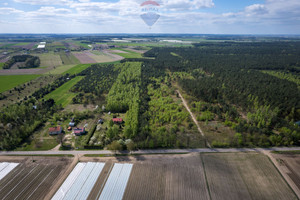 Działka na sprzedaż 42972m2 płoński Joniec Nowa Wrona - zdjęcie 1