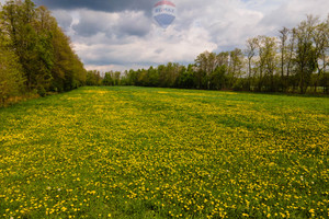 Działka na sprzedaż 21516m2 zgierski Zgierz Besiekierz Rudny - zdjęcie 3