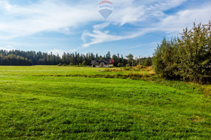 Działka na sprzedaż 700m2 nowotarski Nowy Targ Ludźmierz - zdjęcie 2