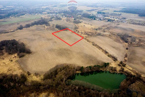 Działka na sprzedaż 14521m2 oleśnicki Twardogóra Grabowno Wielkie - zdjęcie 1