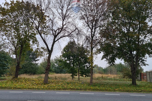 Działka na sprzedaż 9000m2 żyrardowski Radziejowice Słabomierz - zdjęcie 3