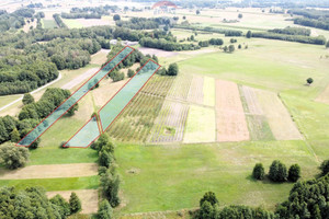 Działka na sprzedaż 18000m2 zwoleński Kazanów Ostrownica - zdjęcie 1