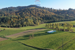 Działka na sprzedaż 22389m2 nowotarski Łapsze Niżne Falsztyn - zdjęcie 3