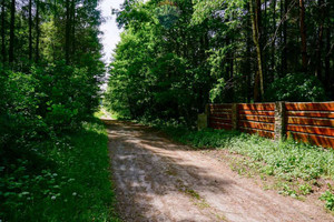 Działka na sprzedaż żyrardowski Puszcza Mariańska Waleriany - zdjęcie 2