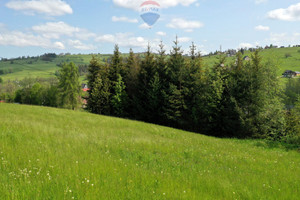 Działka na sprzedaż 5543m2 nowotarski Czarny Dunajec Ratułów - zdjęcie 3