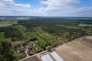 Działka na sprzedaż 75400m2 płoński Joniec Ludwikowo - zdjęcie 2