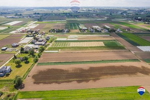 Działka na sprzedaż 9861m2 krakowski Igołomia-Wawrzeńczyce Igołomia - zdjęcie 2