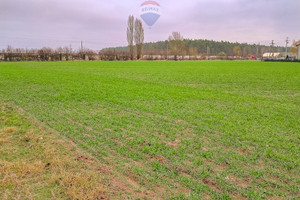 Działka na sprzedaż 3979m2 łęczycki Świnice Warckie Dworcowa - zdjęcie 3