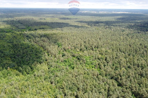 Działka na sprzedaż 1574m2 ostrowiecki Ostrowiec Świętokrzyski Las Rzeczki - zdjęcie 3