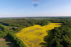 Działka na sprzedaż 166500m2 wejherowski Choczewo Gardkowice - zdjęcie 1