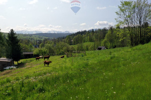 Działka na sprzedaż 5543m2 nowotarski Czarny Dunajec Ratułów - zdjęcie 1