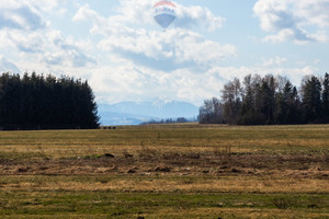 Działka na sprzedaż 721m2 nowotarski Czarny Dunajec Stare Bystre - zdjęcie 3