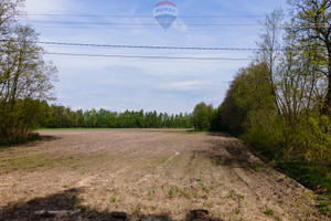 Działka na sprzedaż 21654m2 zgierski Zgierz Besiekierz Rudny - zdjęcie 2