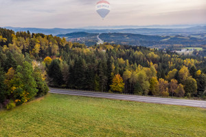 Działka na sprzedaż 9443m2 suski Jordanów Naprawa - zdjęcie 3