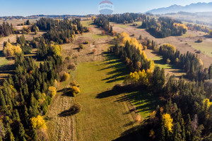 Działka na sprzedaż 2711m2 tatrzański Biały Dunajec - zdjęcie 3