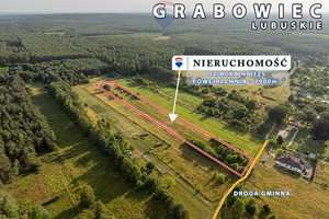 Działka na sprzedaż 7900m2 zielonogórski Świdnica Grabowiec - zdjęcie 3