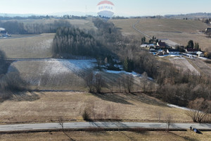 Działka na sprzedaż 12200m2 tarnowski Rzepiennik Strzyżewski Turza - zdjęcie 3