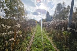 Działka na sprzedaż 4283m2 zgierski Stryków Klęk - zdjęcie 3