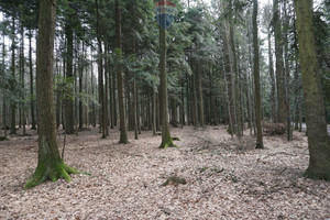 Działka na sprzedaż 2000m2 suski Budzów - zdjęcie 3