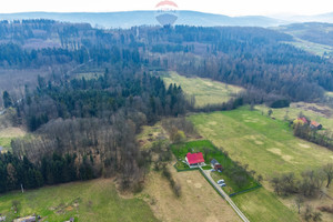 Działka na sprzedaż 5200m2 wielicki Niepołomice Zakrzów - zdjęcie 3