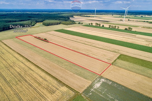 Działka na sprzedaż 22100m2 żarski Żary Lubanice - zdjęcie 3