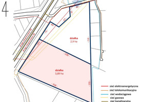 Działka na sprzedaż 38900m2 skierniewicki Kowiesy Zawady - zdjęcie 2