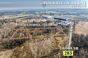 Działka na sprzedaż 26104m2 nowosolski Kożuchów Podbrzezie Dolne - zdjęcie 1