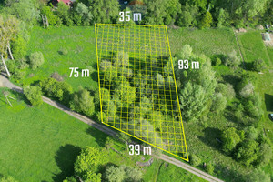 Działka na sprzedaż 3000m2 nowodworski Leoncin Wilków nad Wisłą - zdjęcie 1